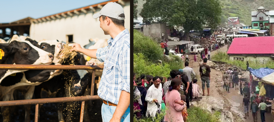 Crowdfunding for Care: How Donations Provide Life-Saving Treatments