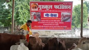 “Gau Sewa at Vrindavan” by Gurukul Foundation