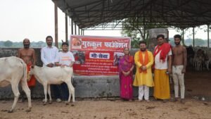 “Gau Sewa at Vrindavan” by Gurukul Foundation