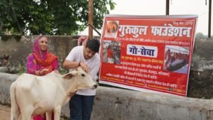 “Gau Sewa at Vrindavan” by Gurukul Foundation
