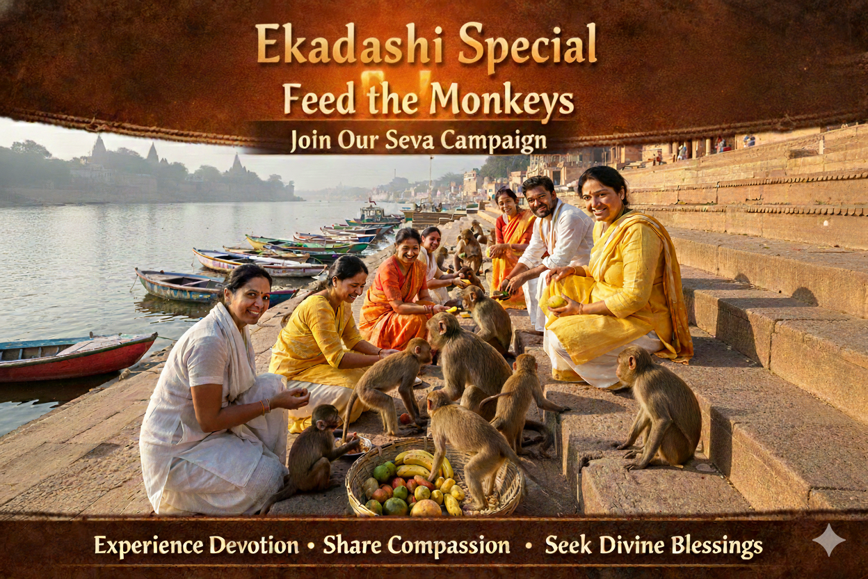 Ekadashi Special: Feed the Monkeys