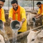 Ekadashi Gau Seva Drive