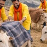 Protect Gau Mata This Winter