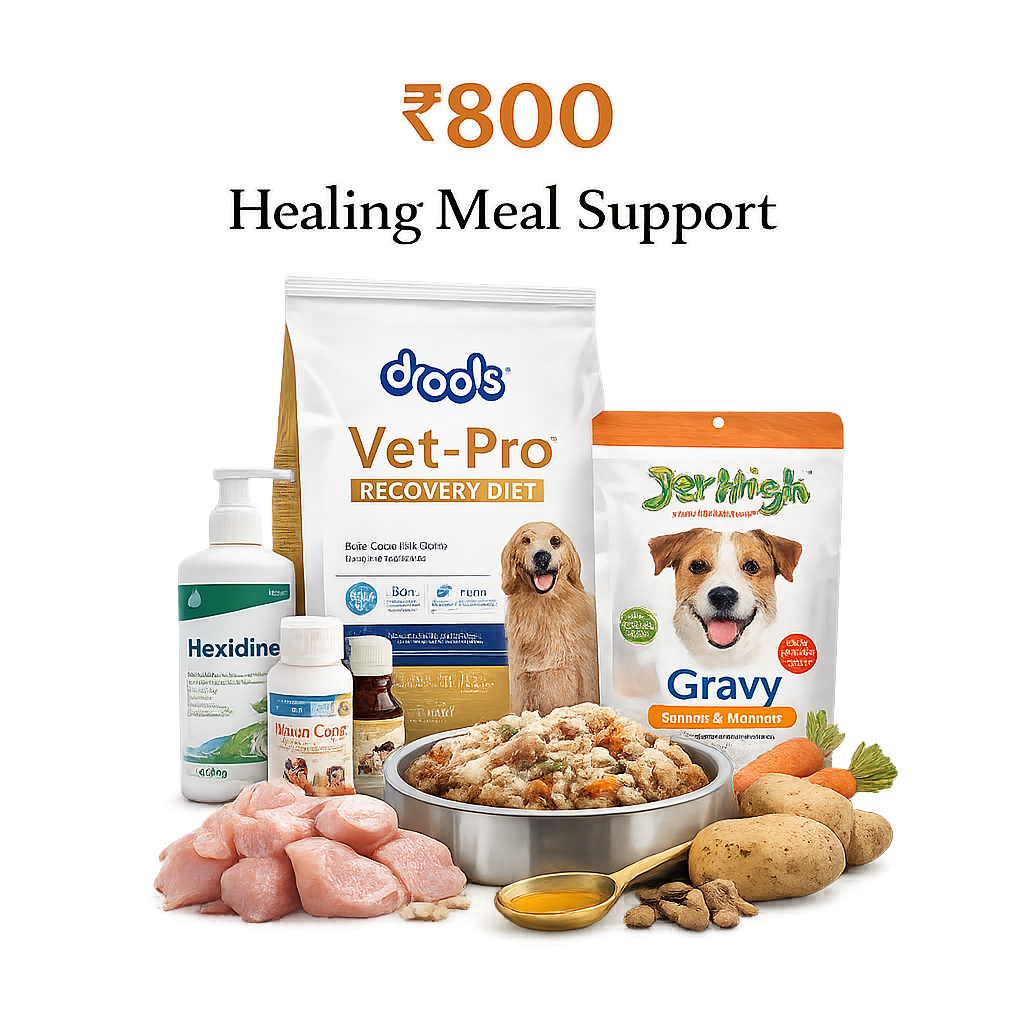 Healing Meal Support