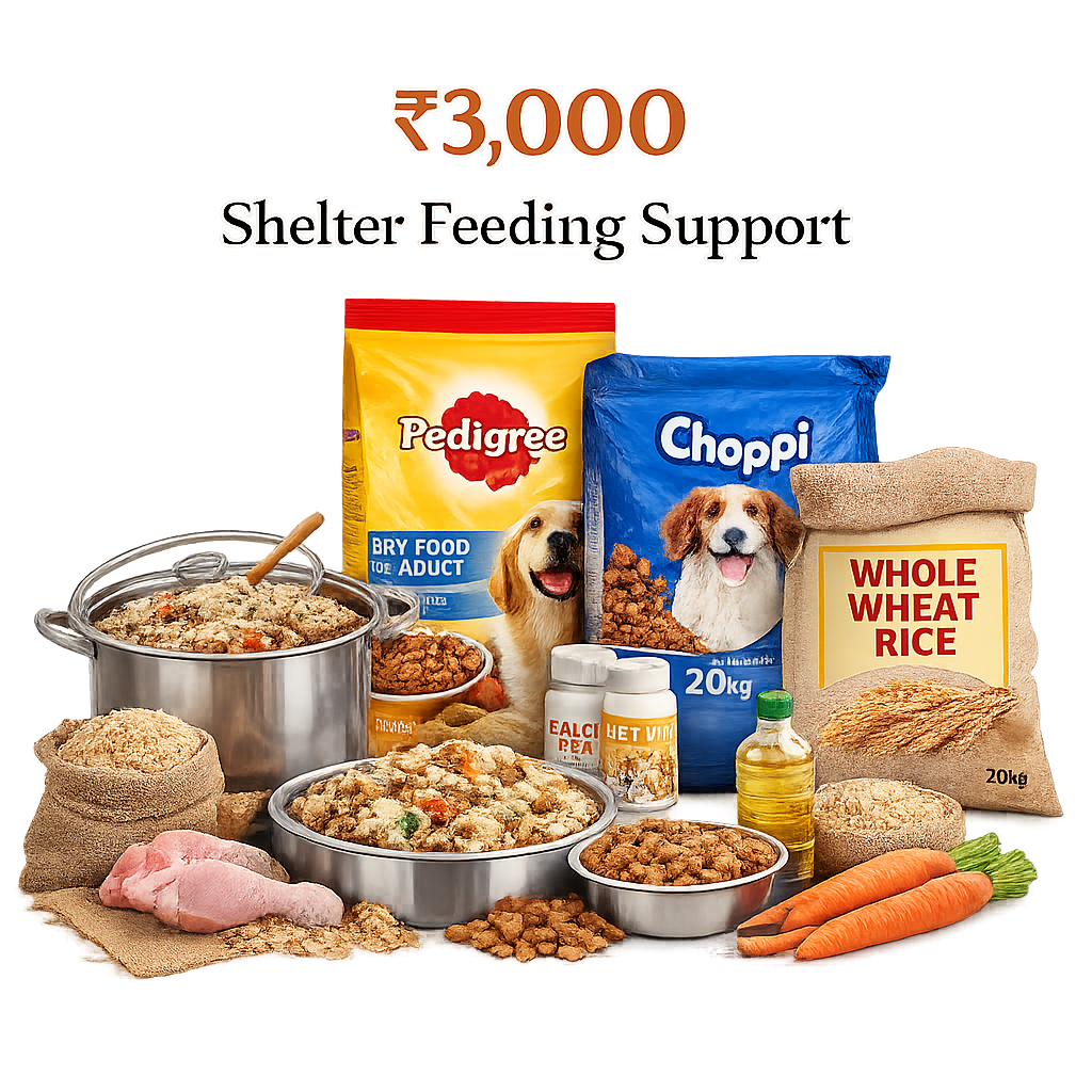 Shelter Feeding Support