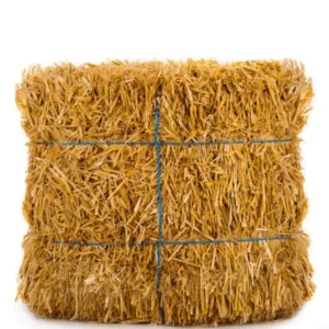  Dry Grass