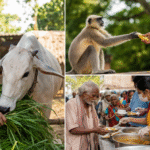 Helping Cows, Monkeys, and Hungry People