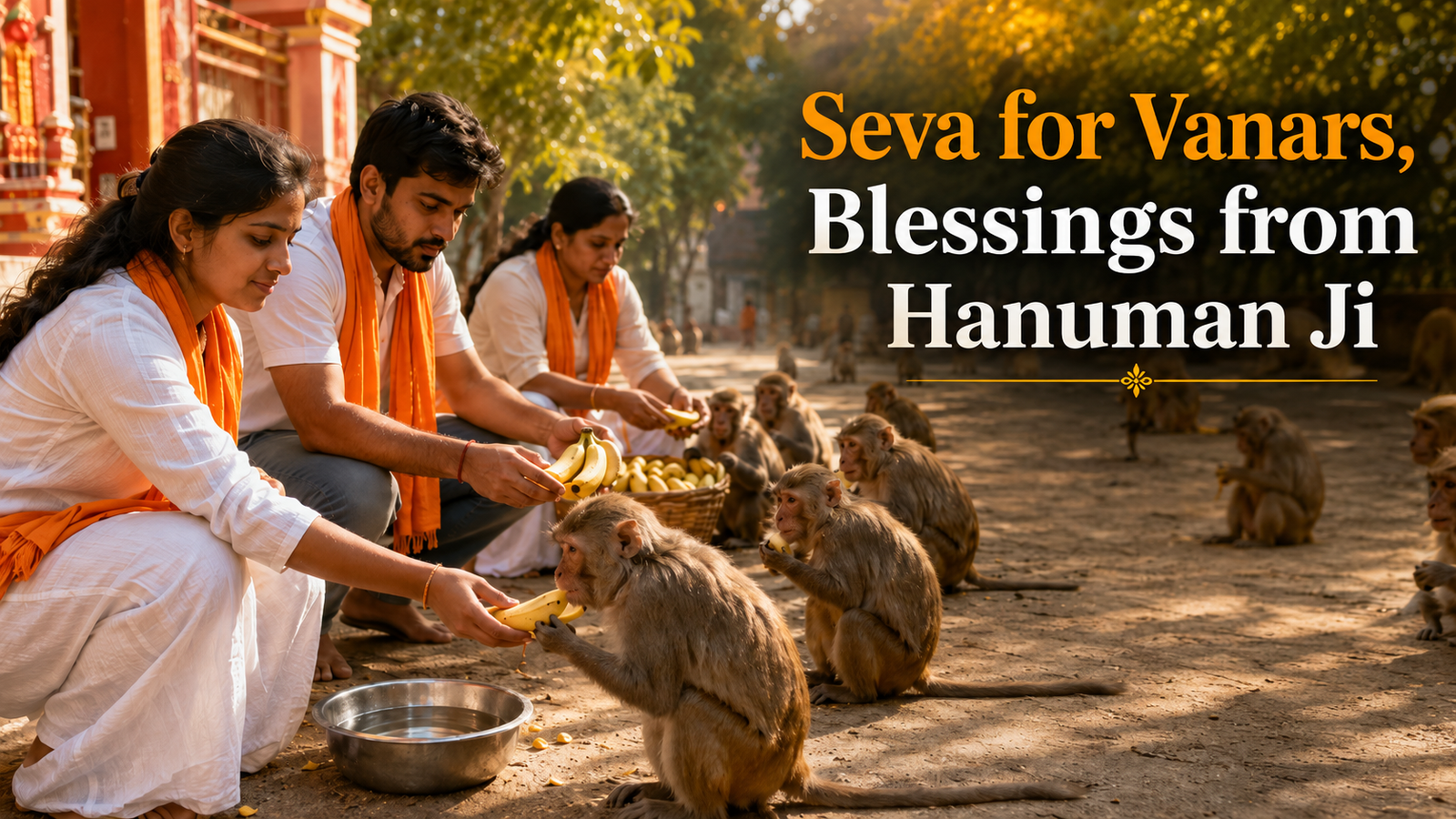 Seva for Vanars, Blessings from Hanuman Ji